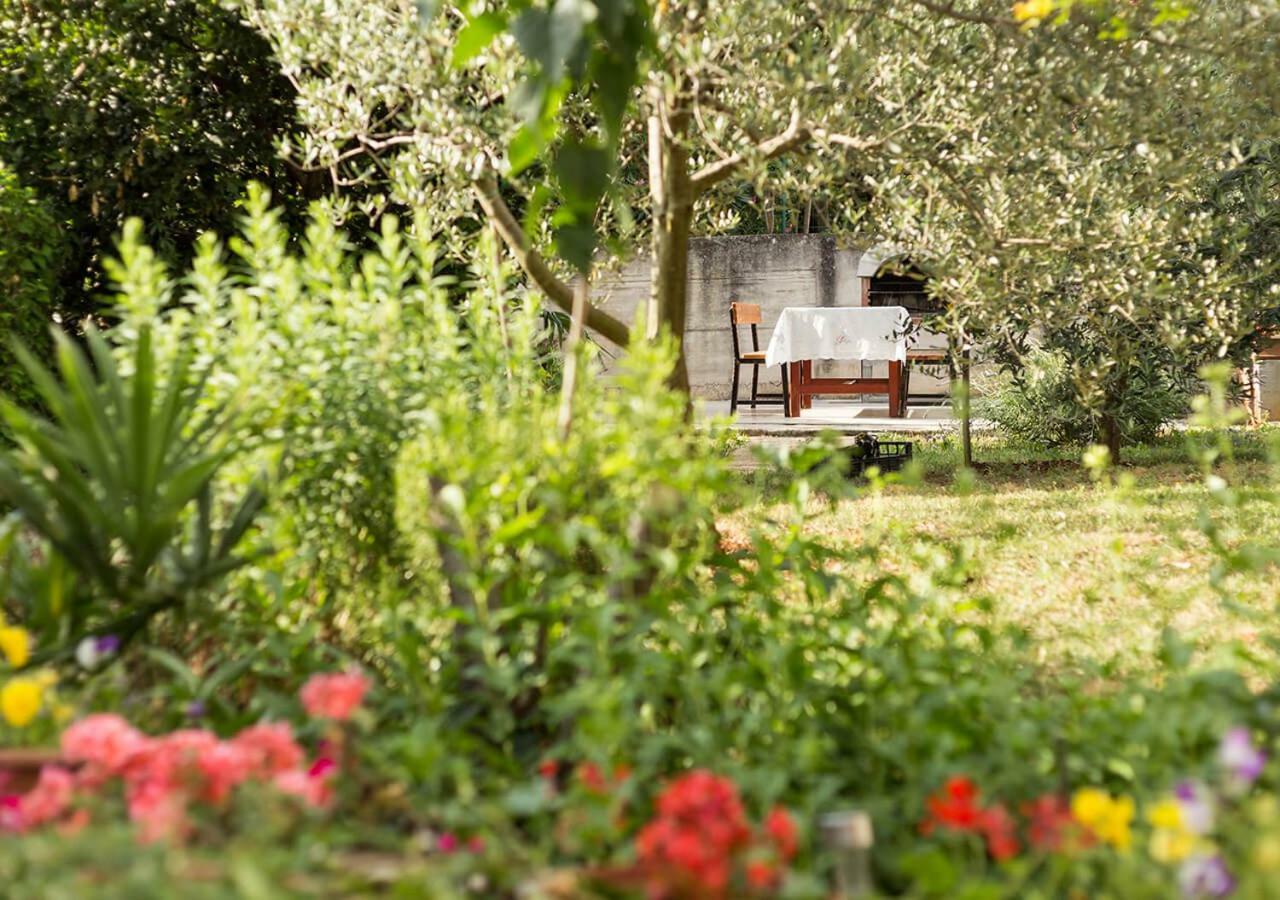 Apartments Vretenar Novigrad Istria Exteriér fotografie